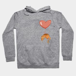 Cat in Love Hoodie